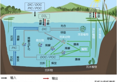 區域陸-水-氣碳收支與碳平衡關鍵過程對地球系統碳中和的意義